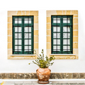 30'' x 54'' Spear Point Window Guard