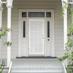 French Hummingbird Laser Cut Security Storm Door