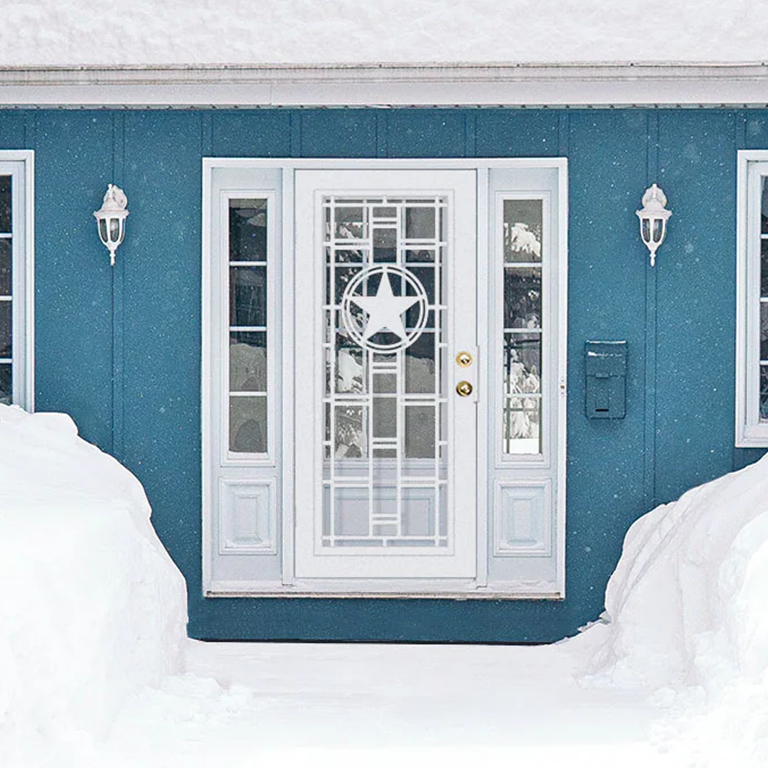 Heart of Texas Laser Cut Security Storm Door